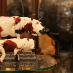 Parsuna gallery